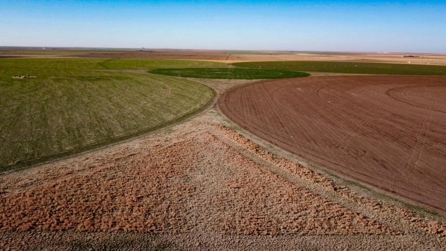 Aerial image of row crop rotation and field corners of permanent native grass.