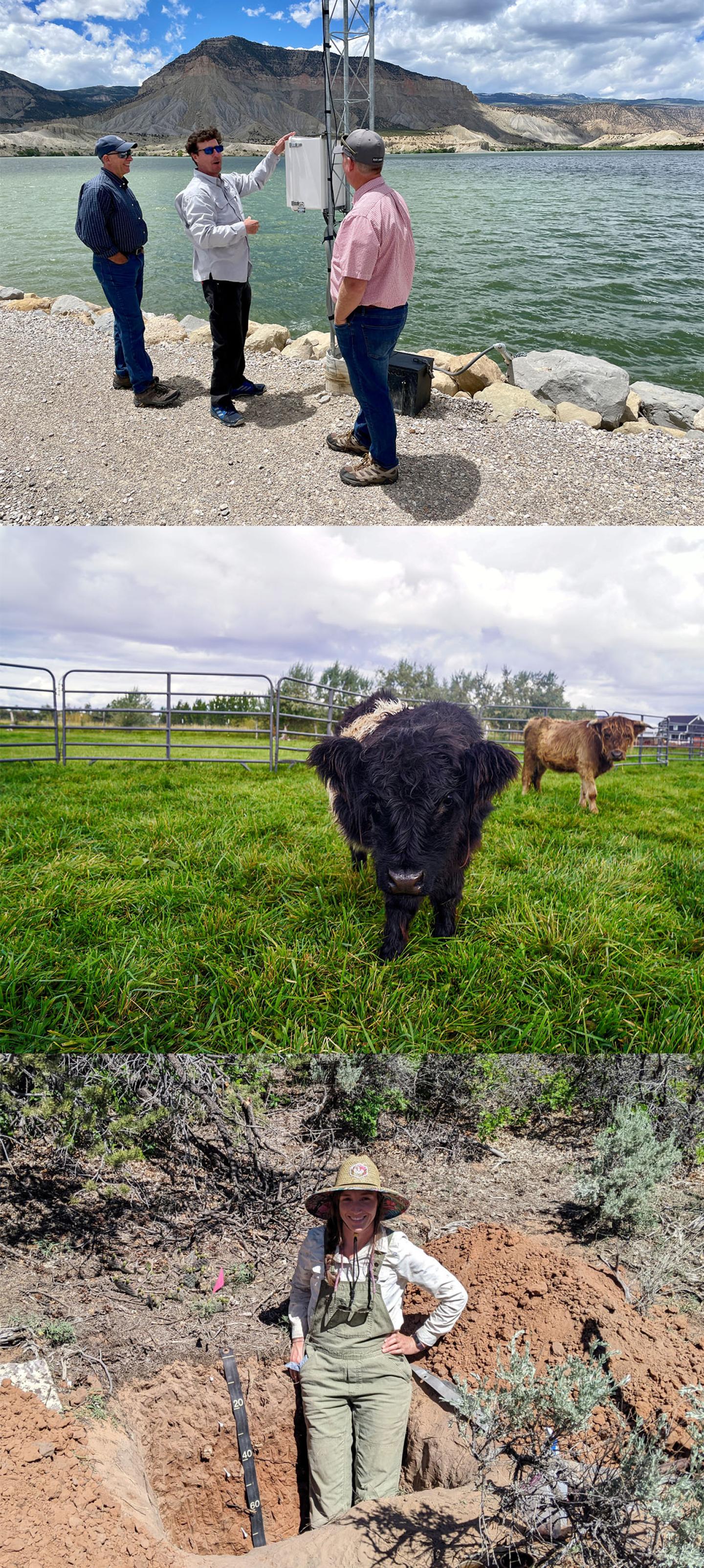 Top photo of three people by reservoir, middle photo of cow in field, bottom photo of person studying soil.