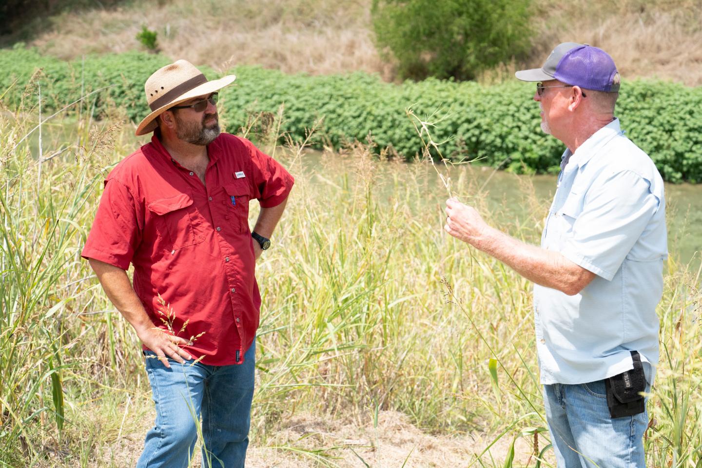 NRCS district conservationist in Bell County listens as landowner Chuck Emerson shares about how his fields are doing even during a drought, with the conservation practices he installed to improve forage and soil health. 