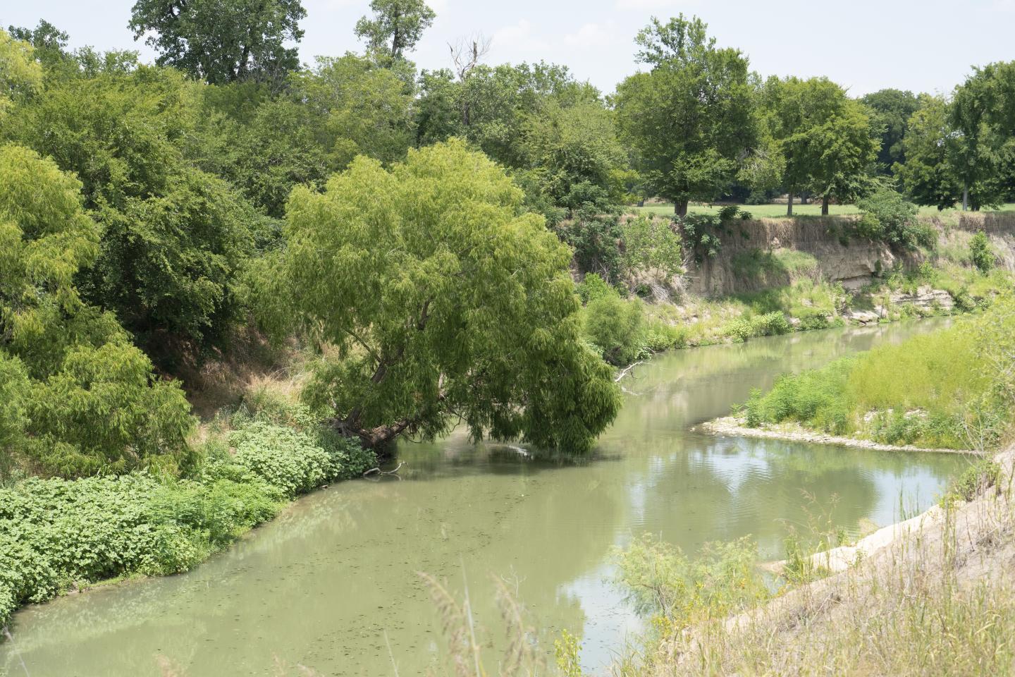 Segment of the Little River on Dice Grove Farms. Little River is a river in the Brazos River watershed. It is formed by the confluence of the Leon River and the Lampasas River near Little River, Texas.