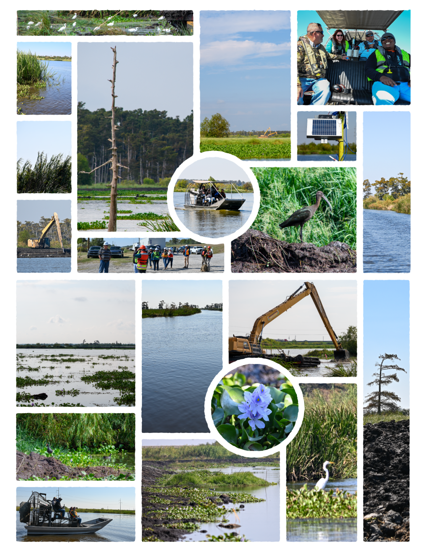 LaBranche Wetlands Collage