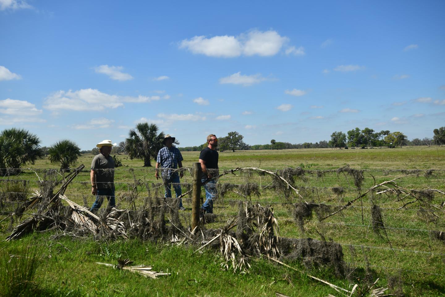 NRCS staff and landowner pick up debris off a fence on a cattle ranch in Wauchula, Florida.