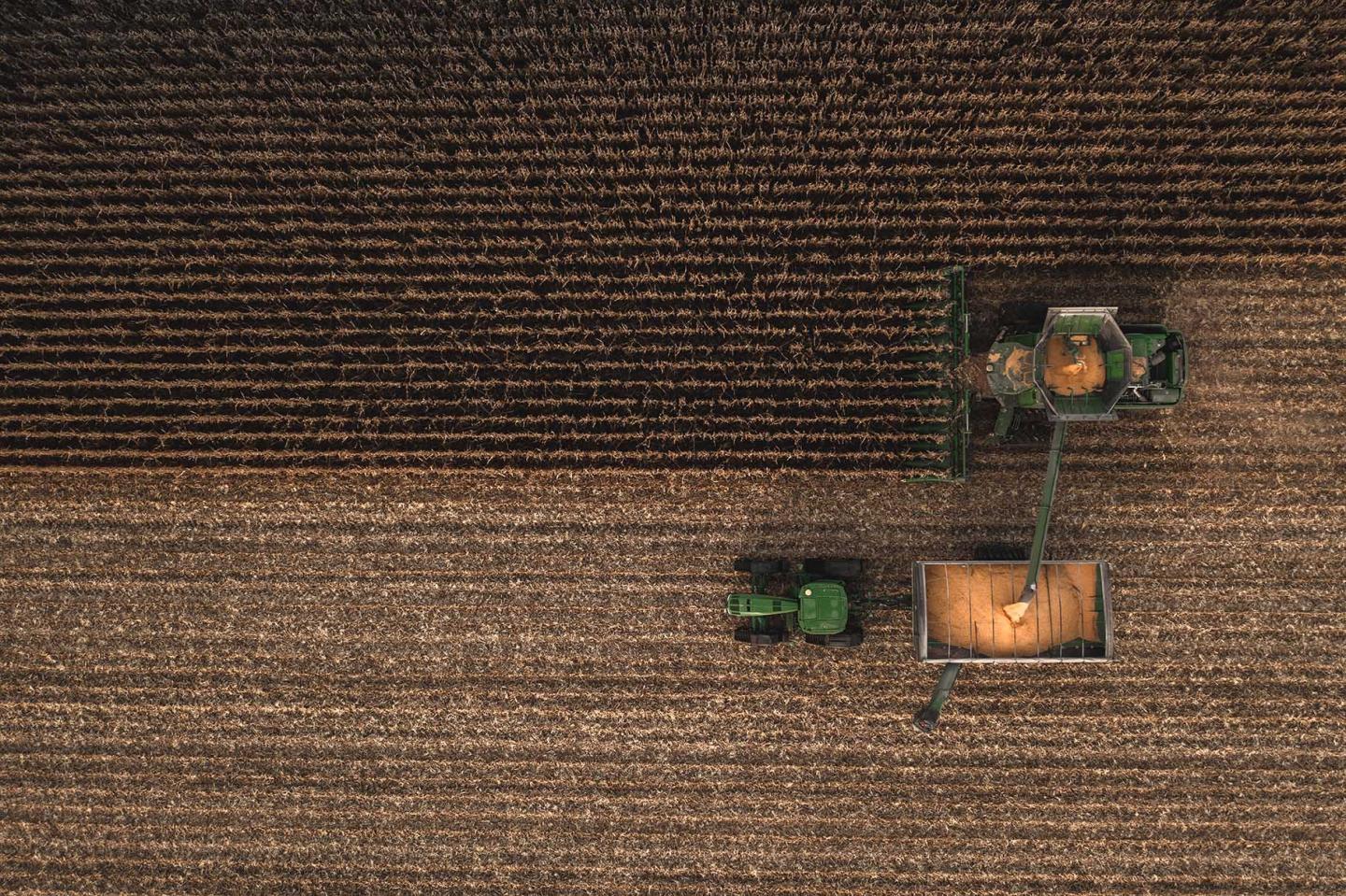 Shawn Feikema harvests corn on his 7,000-acre farm in Luverne, Minnesota. Feikema and his family switch to a mix of strip-tillage and no-tillage in 2016 to help build resilience into their farm and protect it from changing weather patterns. (Photo Courtesy of Andrew Bydlon) 