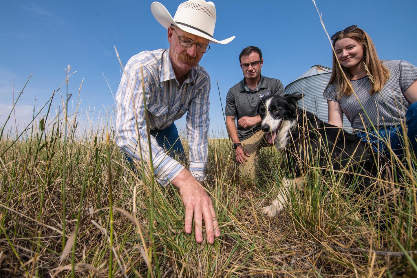 A rancher kneeling in his pasture with two NRCS employees discussing grassland health while his cattle dog looks on.
