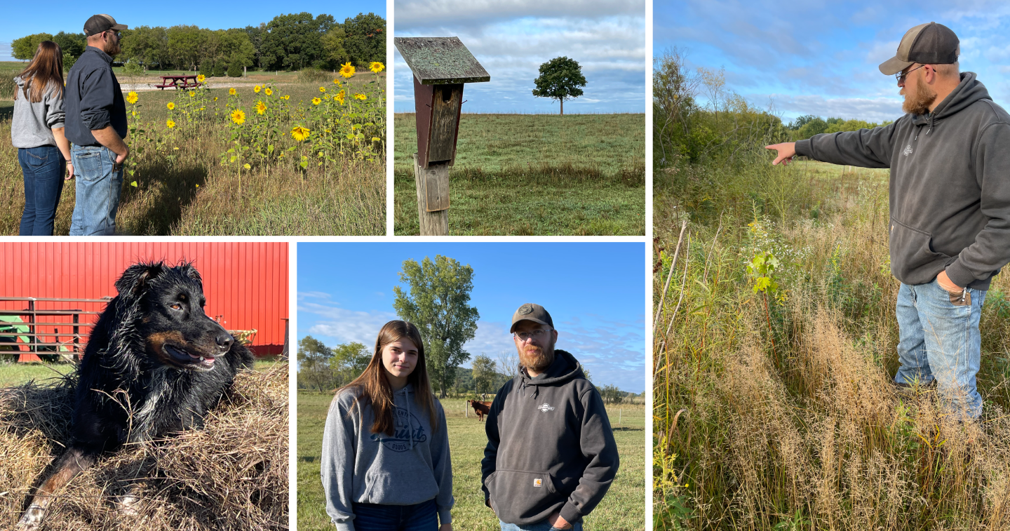 Collage of images from the Nelsons grazing operation in Waupaca Wisconsin
