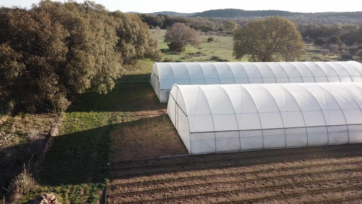 Tunnel Systems Outside