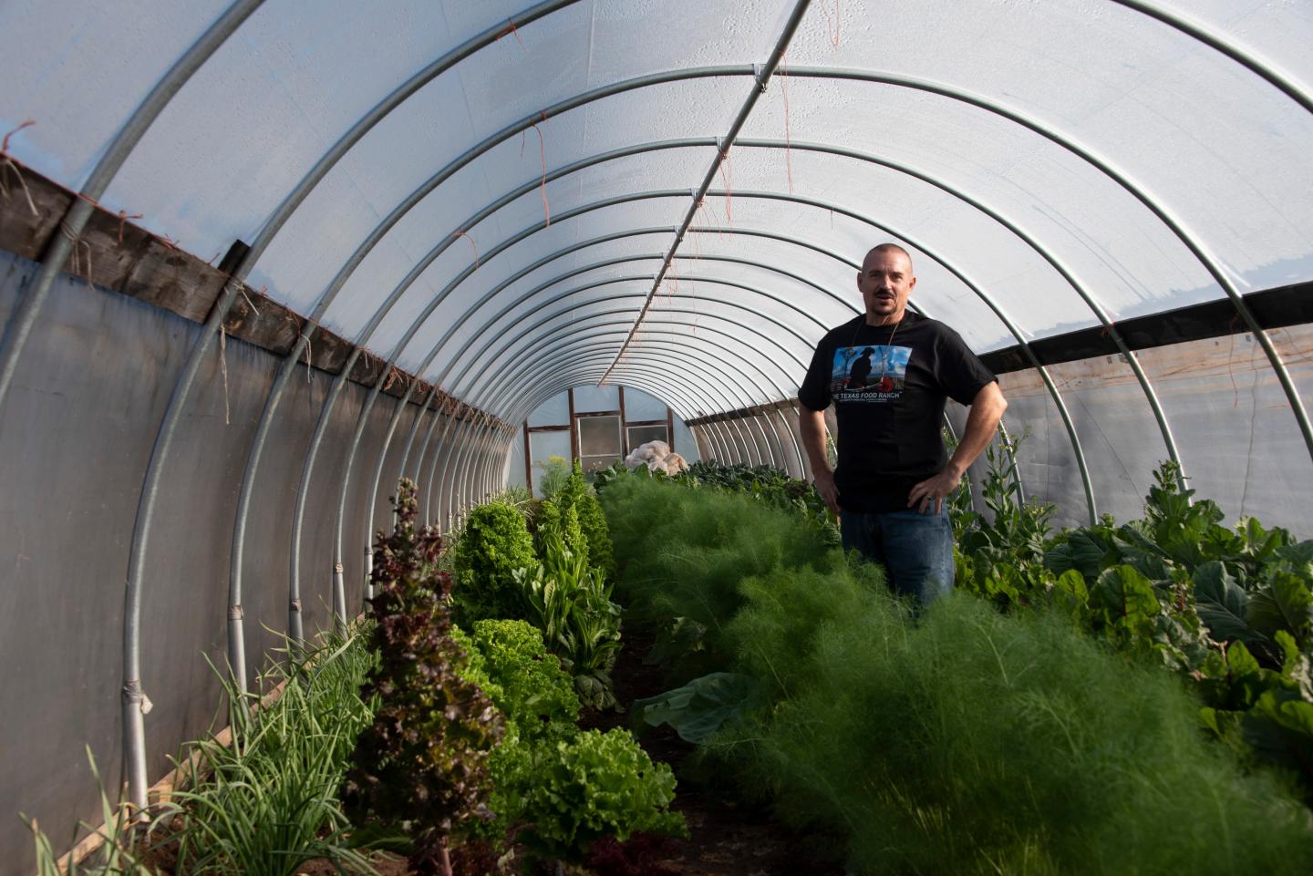 Man stands next to plants outside under a high tunnel.