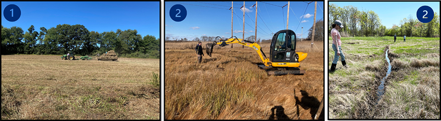 Partners mowed old ag fields (1), removed invasive trees and vines from field borders, and dug runnels to drain ponded water from the marsh (2).