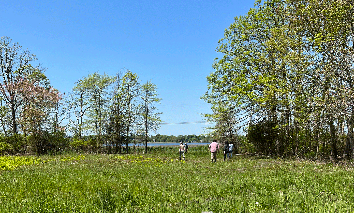 NRCS staff and partners from the Warren Land Conservation Trust walk evaluate progress in the Sowam's Meadow salt marsh restoration project in Warren, RI.