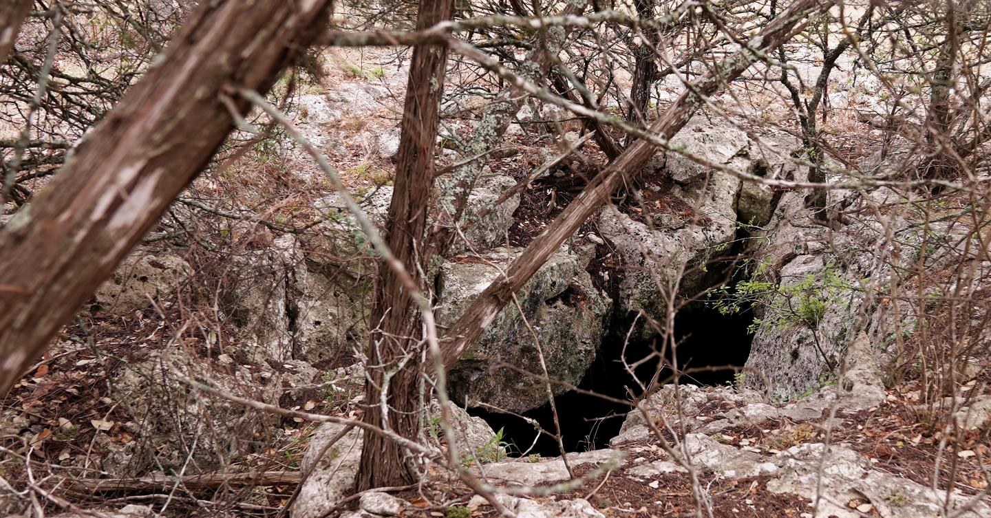 One of several caves on the L Cross Ranch. These openings are vitally important to the Edwards Aquifer underneath, serving as a point of entry for rainwater.