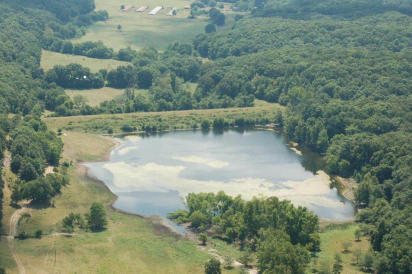 Sallisaw Creek Site 13