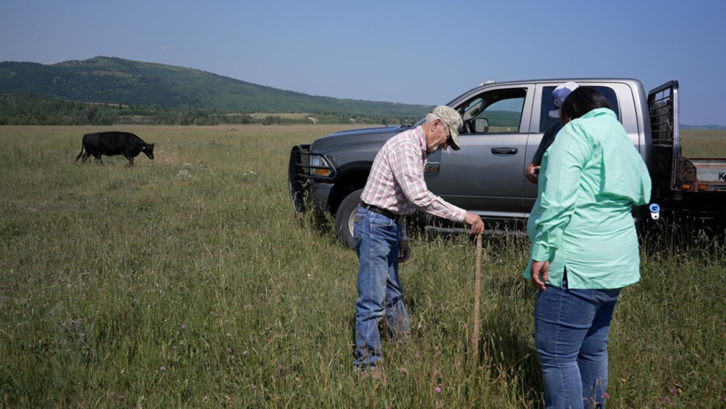 Gus Vaile and Latrice Tatsey monitoring forage in a pasture.