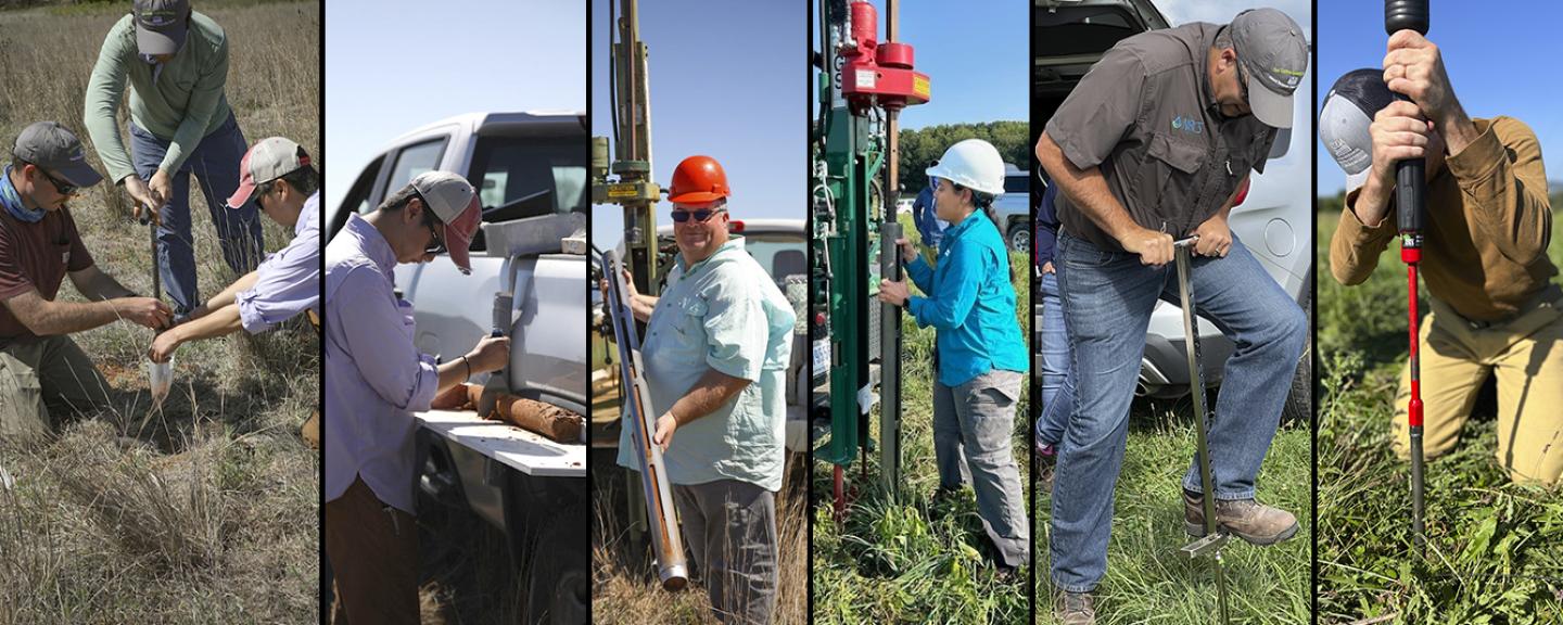 Various people using tools to extract a soil samples from the ground.