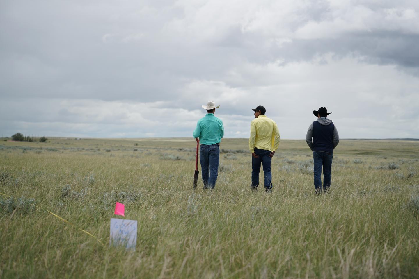 Three people in open field