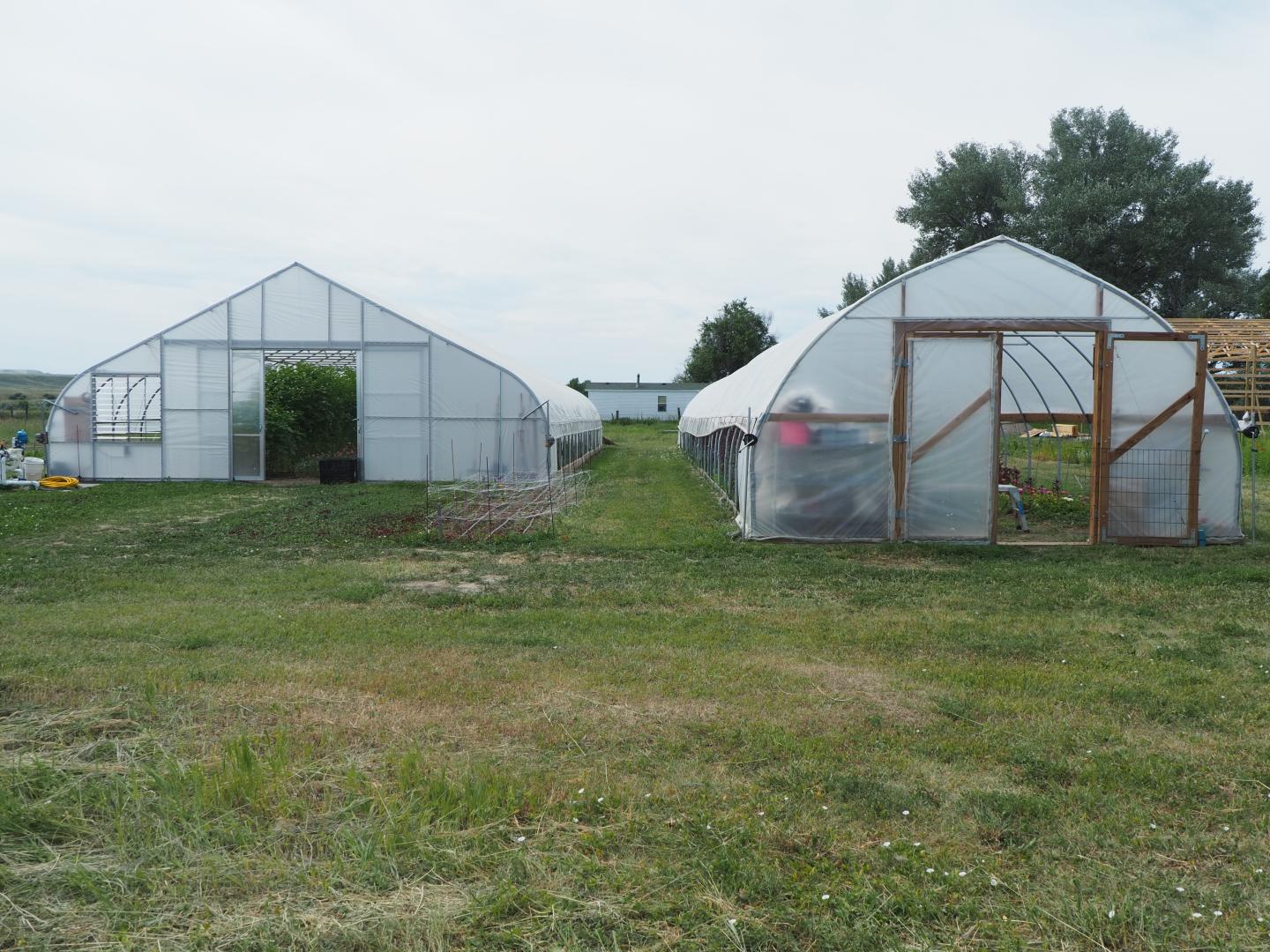 Two high tunnels