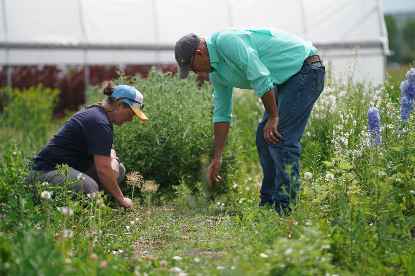 two people kneeling in field of flowers outside