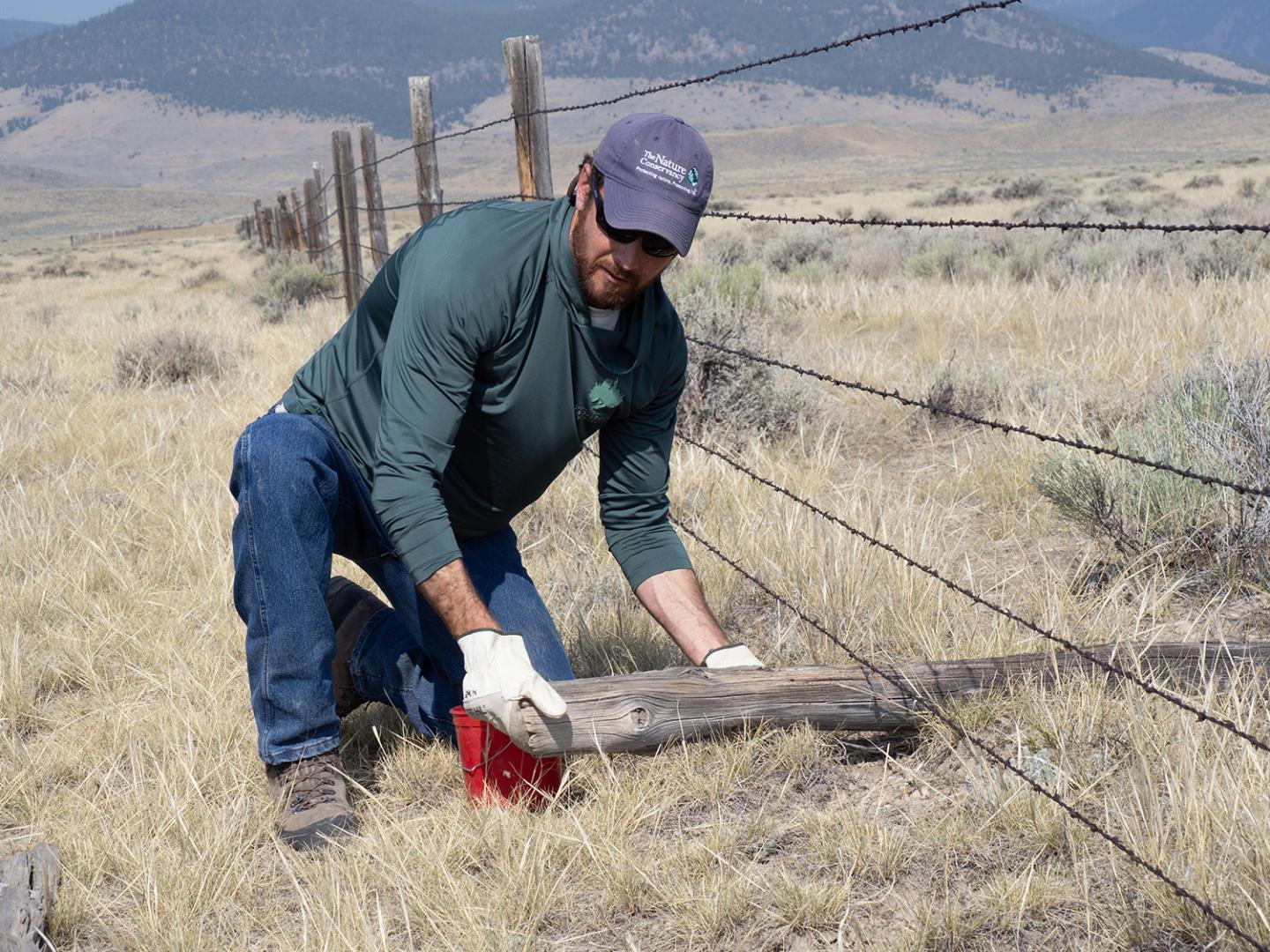 Sean Claffey removes an old fence post.