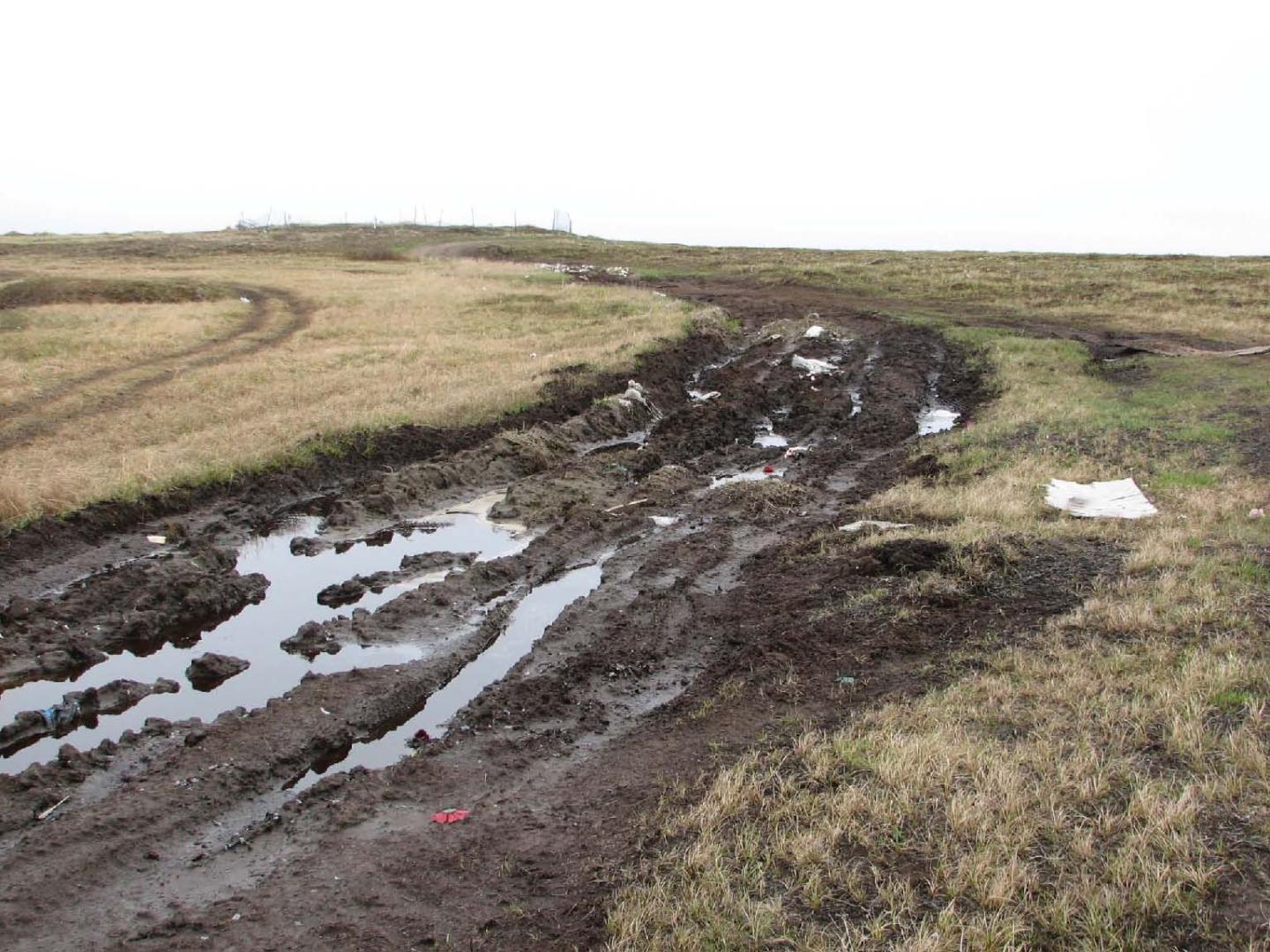 Mud ruts from ATV traffic showing destruction of the tundra.