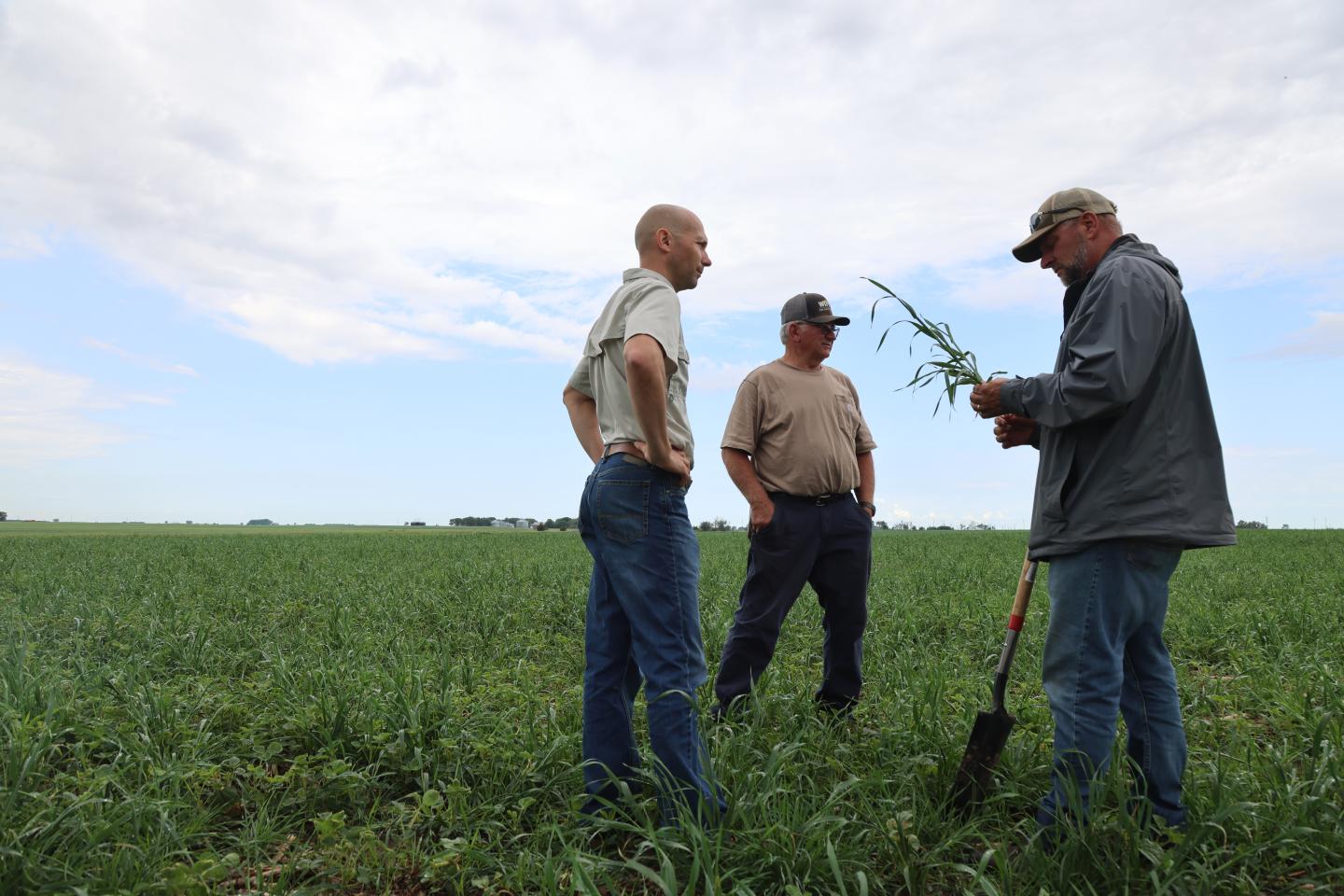 Producer in a soybean field with two NRCS staff, inspecting a clod of soil. 