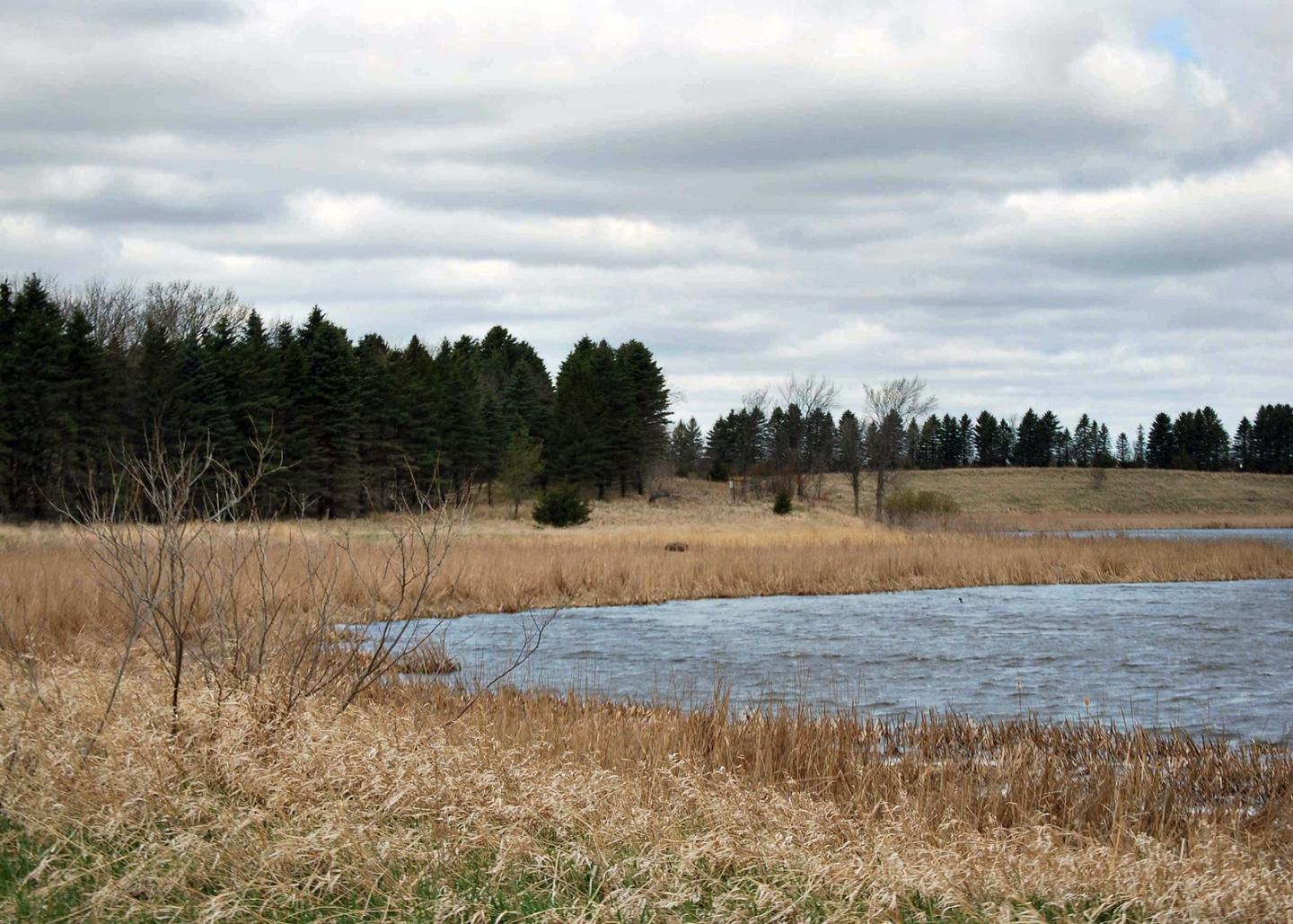 Minnesota Farmer, Carl “Russ” Pilegarrd, has participated in the U.S. Department of Agriculture's (USDA) Farm Service Agency (FSA) Conservation Reserve Program (CRP) from the beginning. He uses wetland buffers and shelter belts to prevent erosion, improve soil and water quality and promote wildlife habitat. USDA photo.