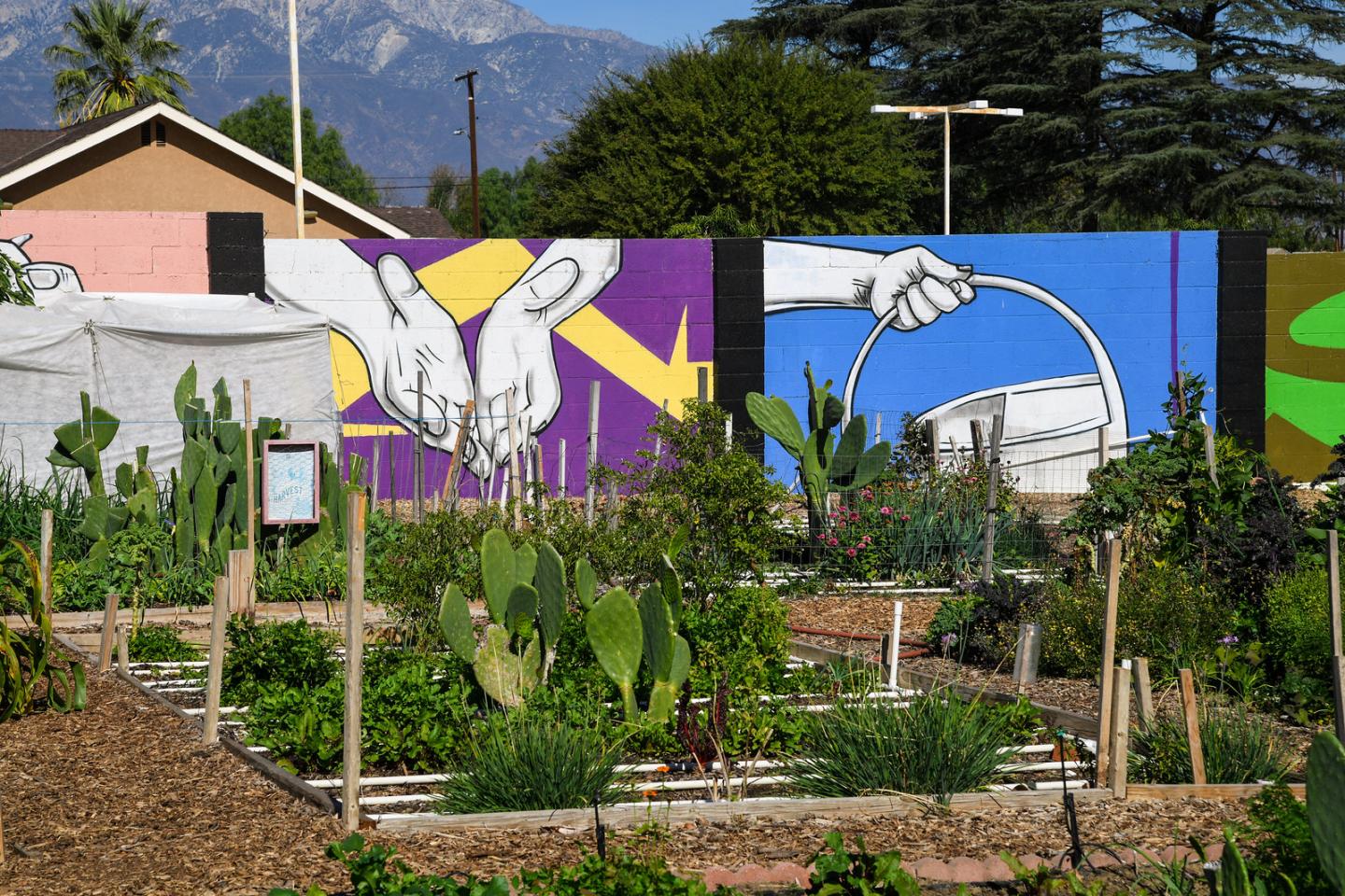 Wall panels with artwork titled "Manos a la obra" (Hands at work) by Manone line one side of the Community garden plots