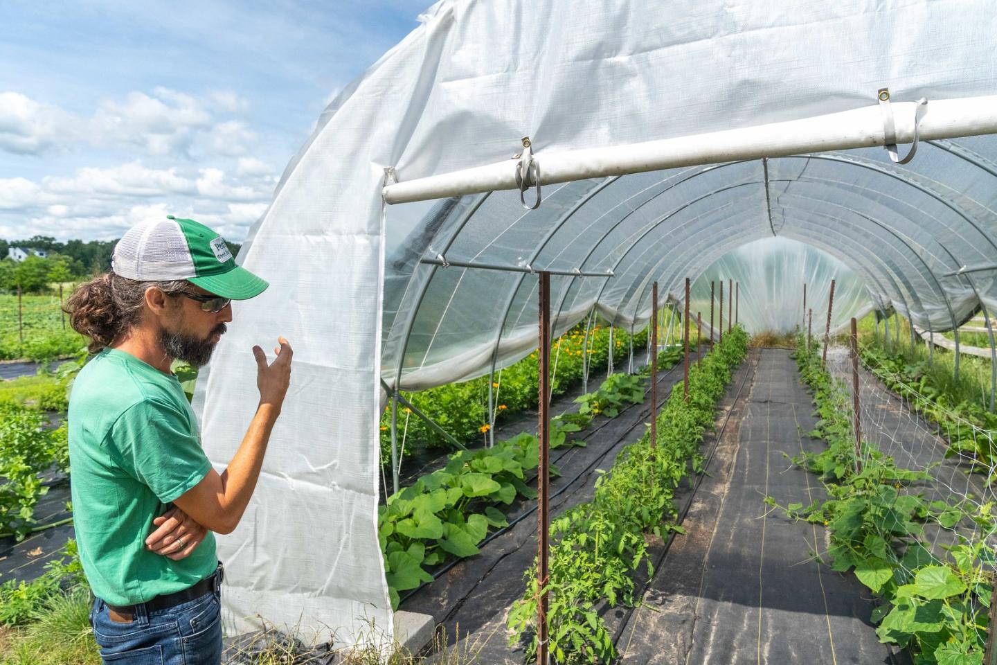 Dan Perkins, co-owner of Perkins' Good Earth Farm in DeMotte, Indiana, checks on one of the high tunnels at the farm July 2, 2021 where pickling cucmbers and other produce are grown as u-picks options for the farms' CSA members. The farm supports more than 200 local families through its four season CSA program and they recently added food and beverage options as well as products by other local producers to their farm stand.
Perkins’ Good Earth Farm is a certified organic farm and Dan and Julie Perkins p