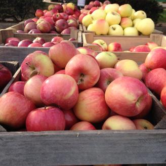 Fall apples at Bloomingdale Farmers Market, a park side street location, on Wednesday, November 9, 2014, in Washington, D.C. This market is located in an urban neighborhood where it may be a challenge for some to get to a grocery stores and carry purchases home. They accept the U.S. Department of Agriculture (USDA) Food and Nutrition Service (FNS) Supplemental Nutrition Assistance Program (SNAP) benefits using the Electronic Balance Transfer (EBT) card. They also accept Women, Infant and Children (WIC) Farm