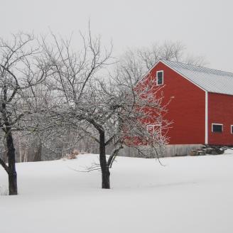 Farm in Winter