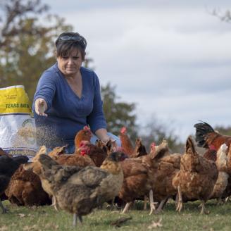 indigenous woman feeding chickens