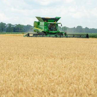 Mike Starkey harvests wheat on his field in Brownsburg, IN June 28, 2021.