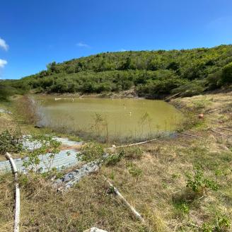 Receding irrigation pond in the Bordeaux farming community, St. Thomas, March 2022.