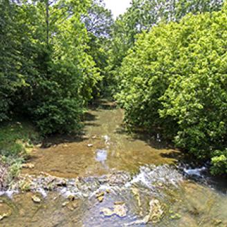 Virginia’s 106 designated SWPAs include two branches of Smith Creek, which winds through Rockingham and Shenandoah counties (photo by John Markon, Virginia NRCS).