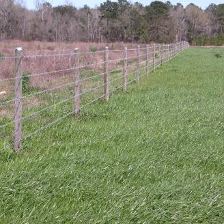 Field with a fence