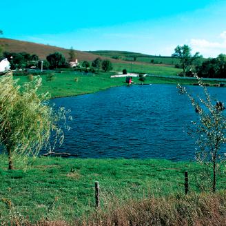 Farm pond in Iowa
