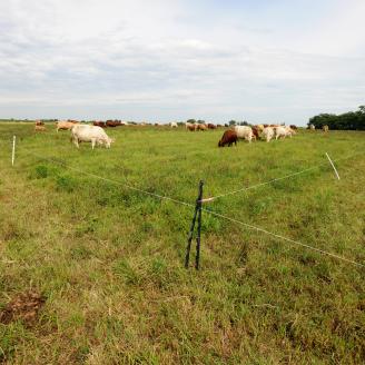 Fence applied on a  pasture in Iowa