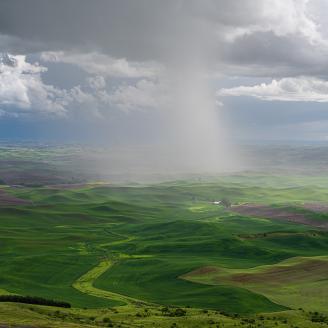 Palouse in Late Spring in Washington State