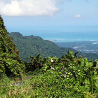 North view of El Yunque - Caribbean National Forest
