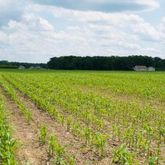 Nutrient management, Delaware