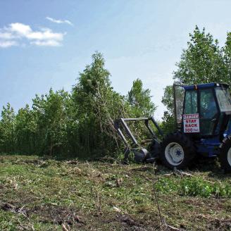 Machine pushing down brush on Iowa land