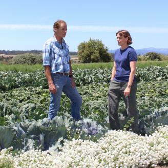 Stephen Pedersen and Jeanne Byrne at their farm, High Ground Organics Farm, in Watsonville, California