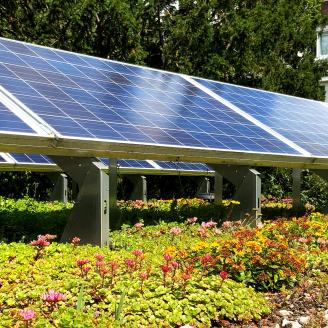 Solar panels in a garden. 
