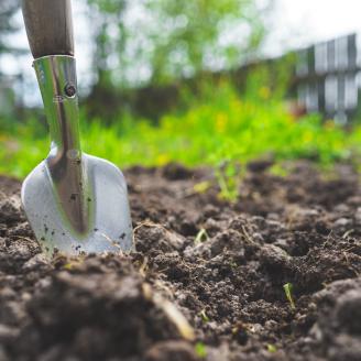 A spade pushes its way through the soil in a community garden. 