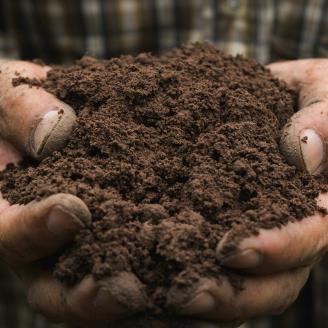 Person holding up handfuls of soil together in both hands