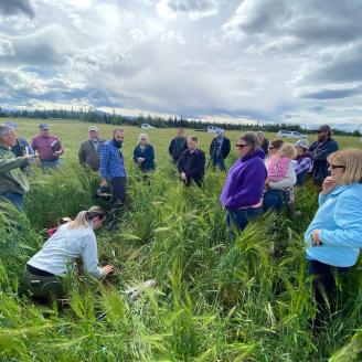 A group of people in a field of cover crops 
