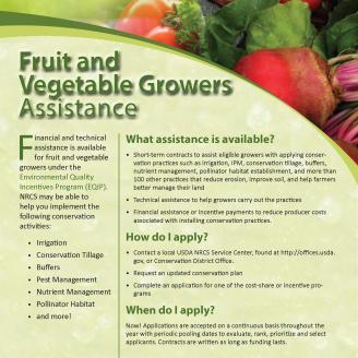 Fruit and Veg growers assistance