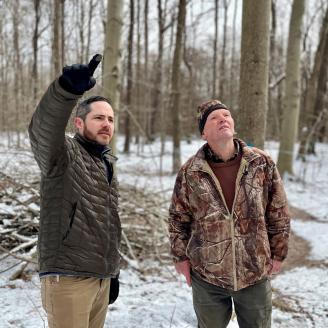 Forest management