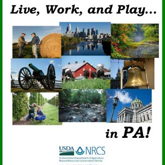 Live work play in PA!