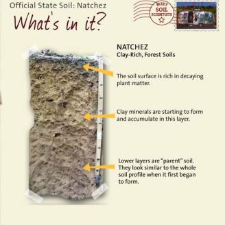Mississippi Natchez Silt Loam Soil