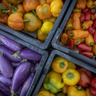 Bins filled with purple eggplants and yellow, red and orange peppers