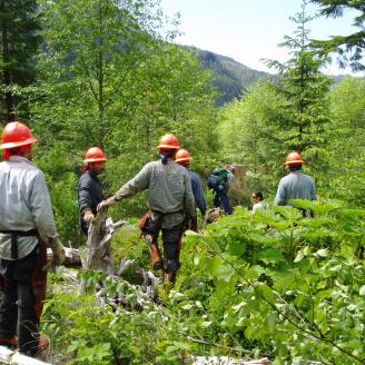 Forest crew members in Alaska wearing hard hats